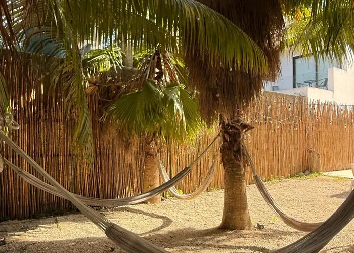Casa Caimán * Playa del Carmen