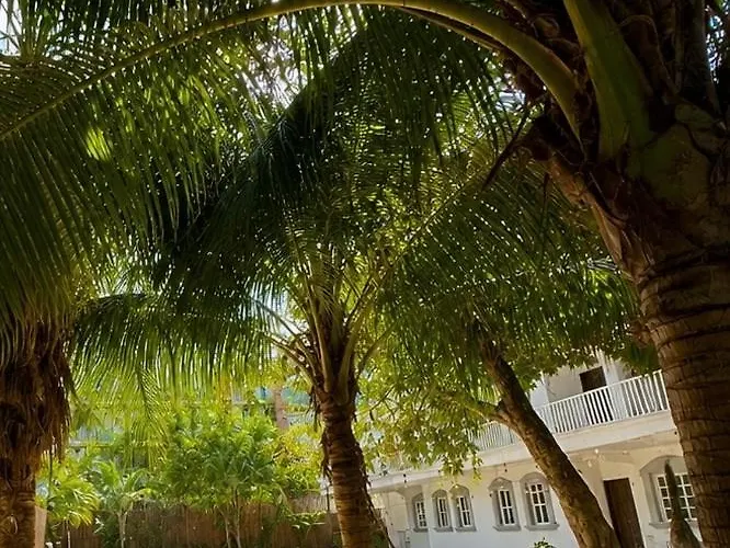 Casa Caimán Apartamento Playa del Carmen